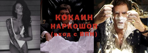 a pvp Новозыбков