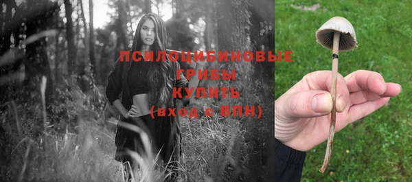 a pvp Новозыбков