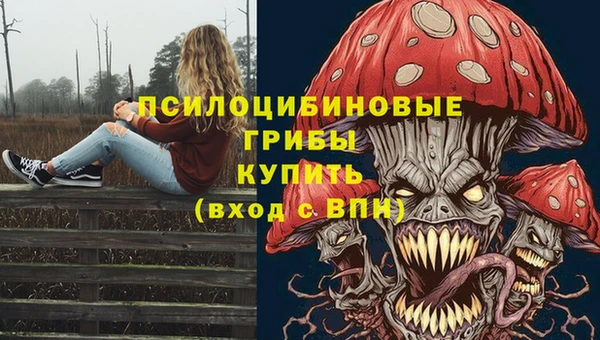 винт Новокубанск