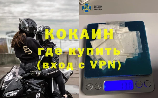 a pvp Новозыбков