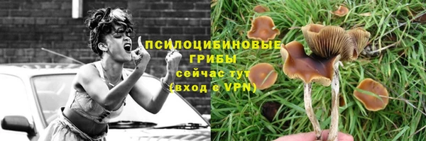 тгк Нефтегорск
