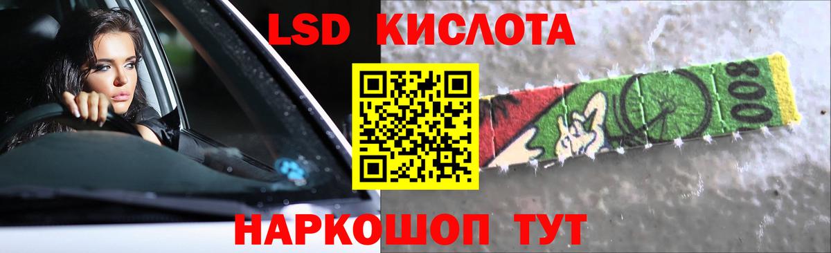 Галлюциногенные грибы Коркино