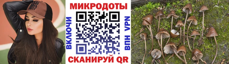 omg зеркало  Коркино  Галлюциногенные грибы мухоморы 