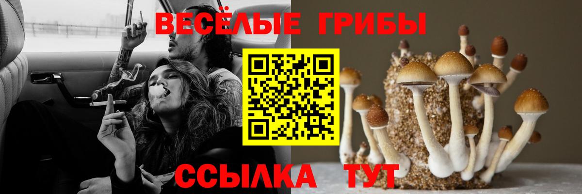 Псилоцибиновые грибы Cubensis  Вход с VPN  Коркино  Псилоцибиновые грибы Magic Shrooms 
